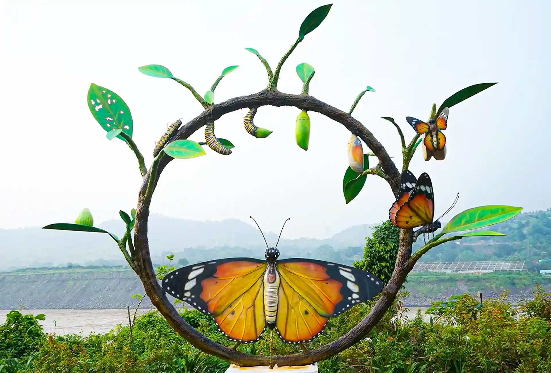 Butterfly Garden Gallery 2