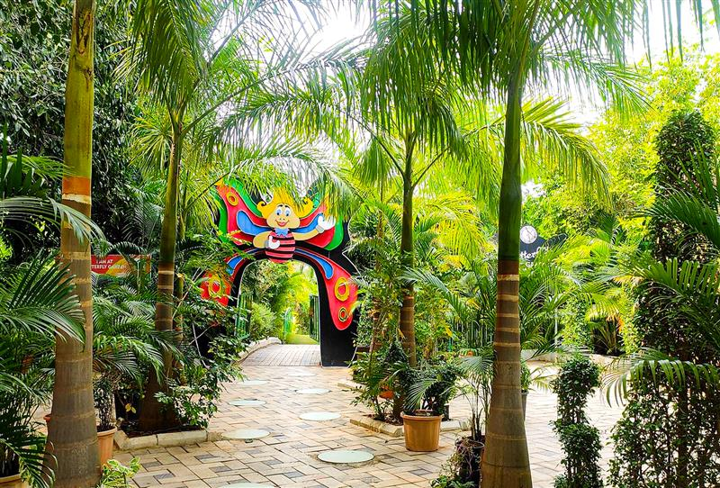 Butterfly Garden Gallery 3