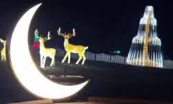 Glow Garden - View 1